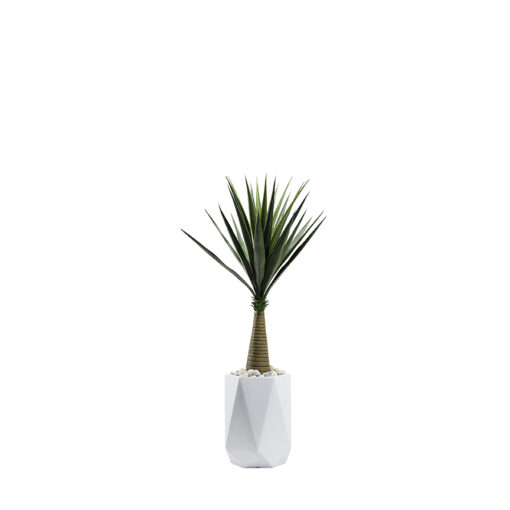 Sisal Tree in Raye Planter 4.5' - 321212