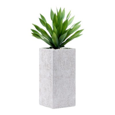 Desert Succulent in Everett Planter - 321213