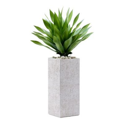 Large Desert Succulent in Everett Planter - 321214