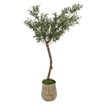 Olive Tree in Delilah Planter - 321216