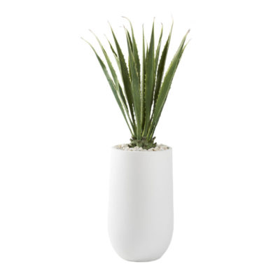 5.5' Agave Plant in Large Quinn Planter - 321217