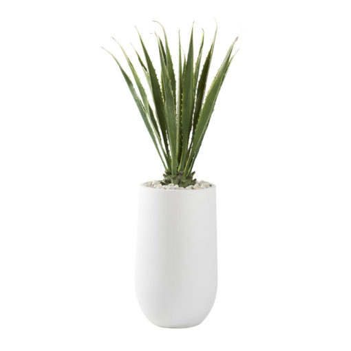 5.5' Agave Plant in Large Quinn Planter - 321217