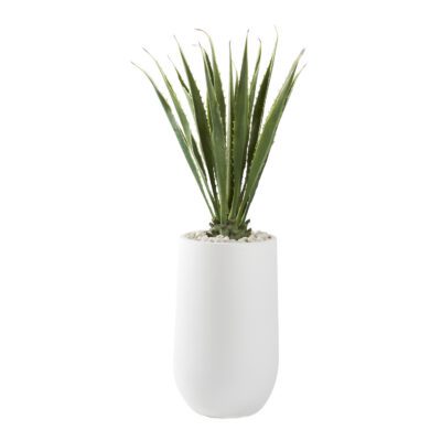 Agave Plant in Quinn Planter 5.5' - 321217