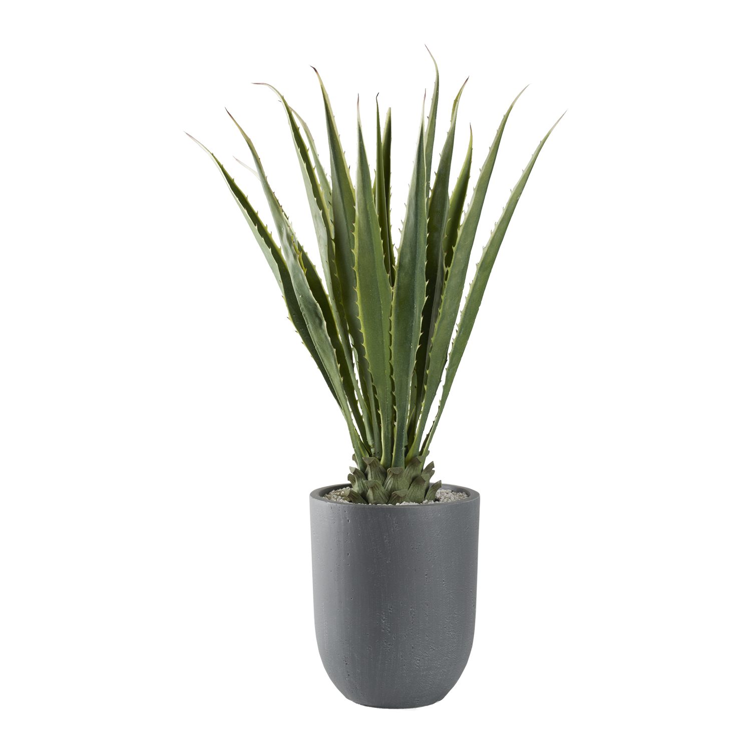 Agave Plant in Campbell Planter - 321218