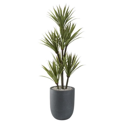 48" Yucca Tree in XS Campbell Planter - 321219