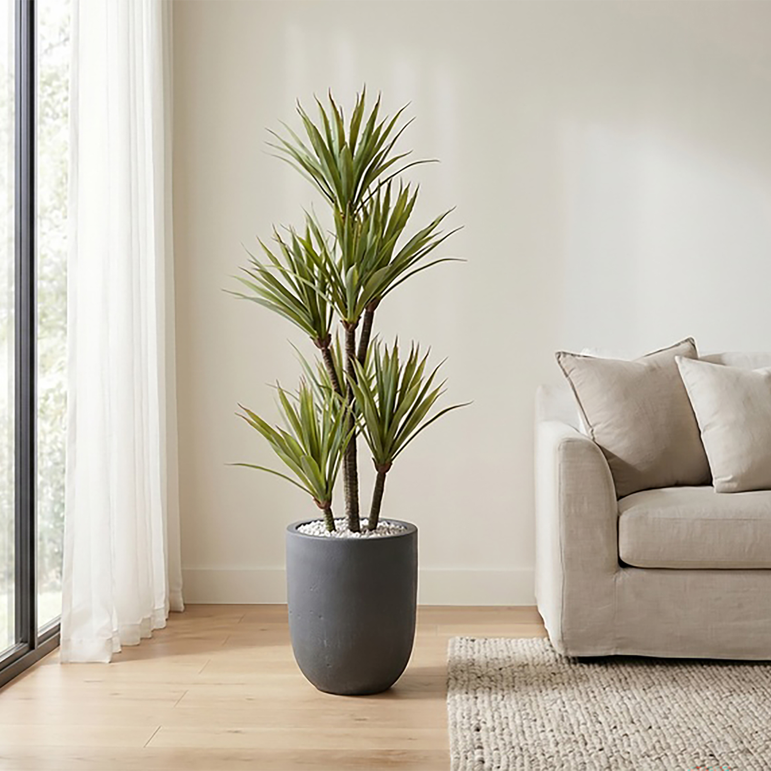 Yucca Tree in Campbell Planter 4' - 321219 - Image 2