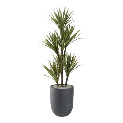 Yucca Tree in Campbell Planter 4' - 321219