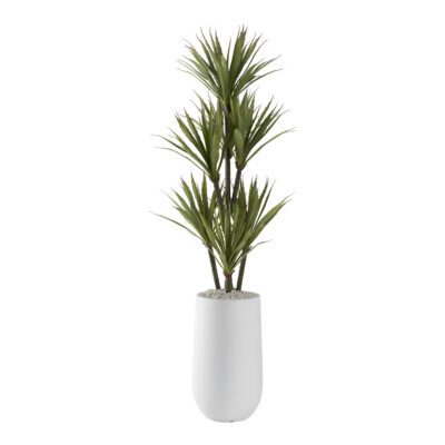 Yucca Tree in Quinn Planter - 321221