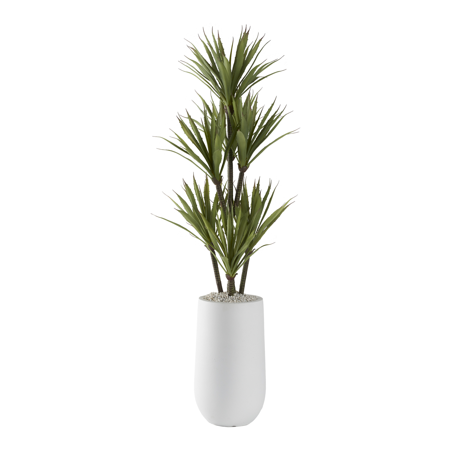 Yucca Tree in Quinn Planter - 321221
