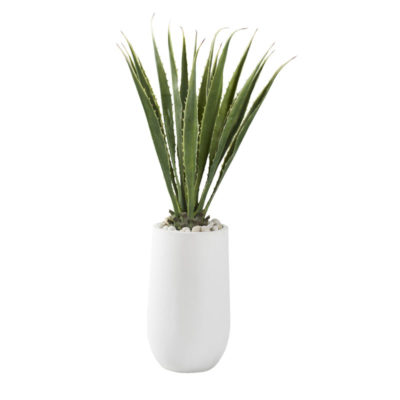 58" Agave Plant in Medium Quinn Planter - 321223