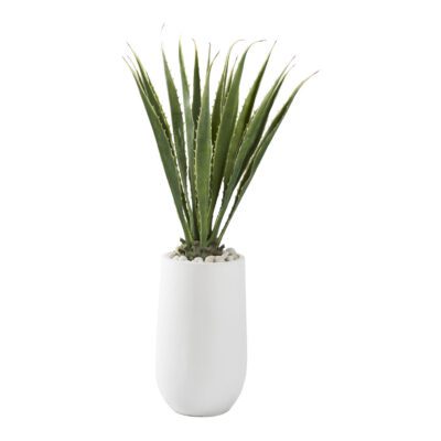 Agave Plant in Quinn Planter - 321223