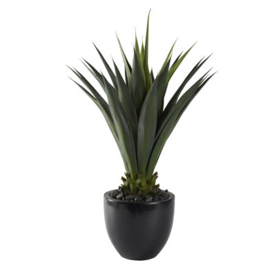 48" Jumbo Agave Plant in Large Taylor Planter - 321224