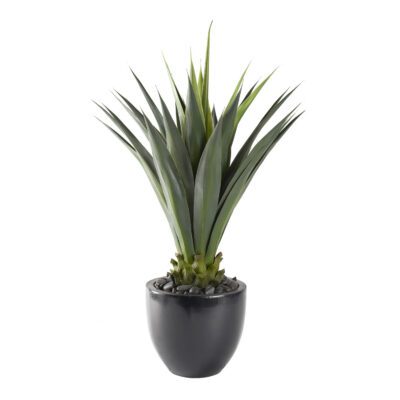 Agave Jumbo Plant in Taylor Planter - 321224