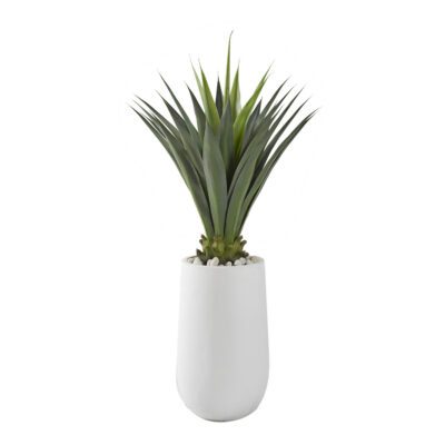 Agave Jumbo Plant in Quinn Planter - 321227