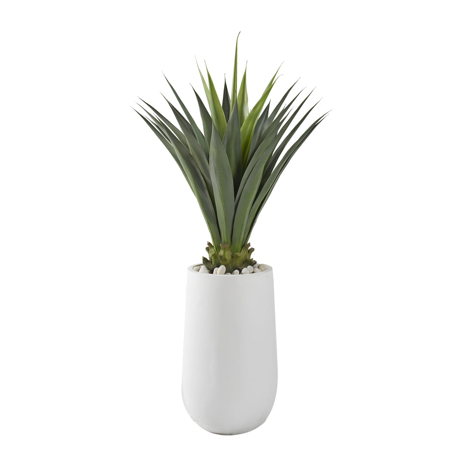 Agave Jumbo Plant in Quinn Planter - 321227