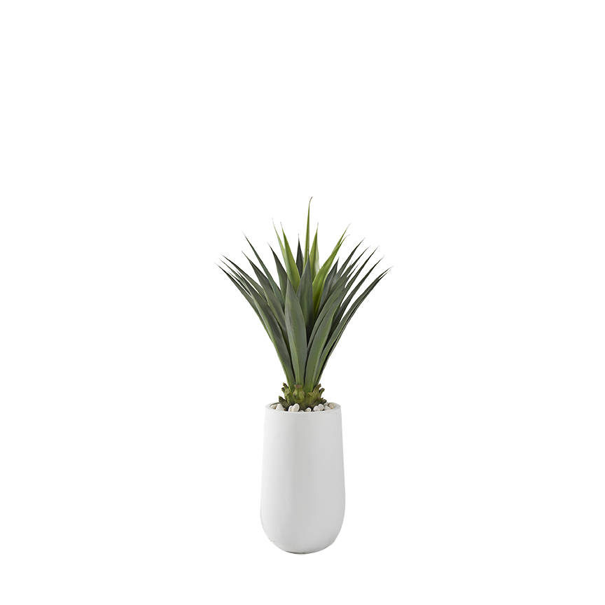 Agave Jumbo Plant in Quinn Planter - 321227