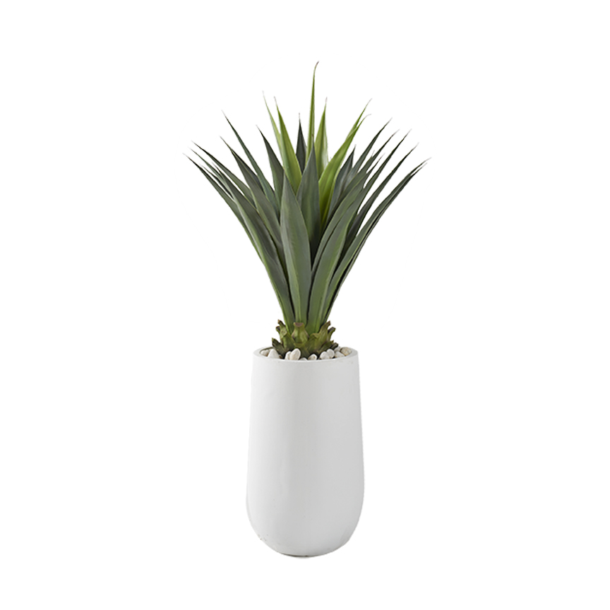 Agave Jumbo Plant in Quinn Planter - 321227 - Image 2