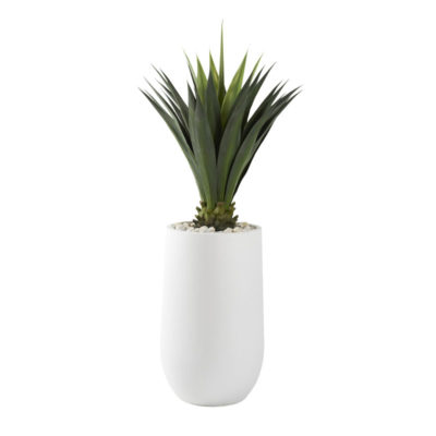 Jumbo Agave Plant in Large Quinn Planter - 321228