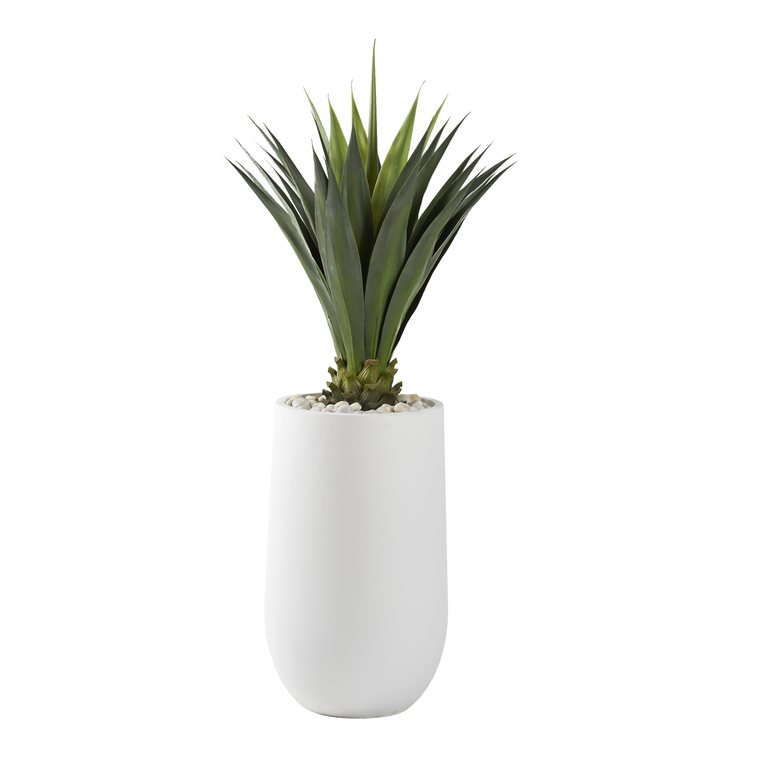 Agave Jumbo Plant in Quinn Planter - 321228