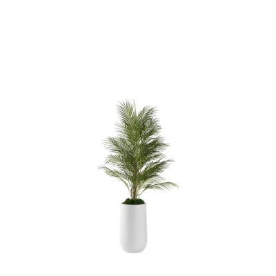 Areca Palm in Quinn Planter 4.3' - 321229