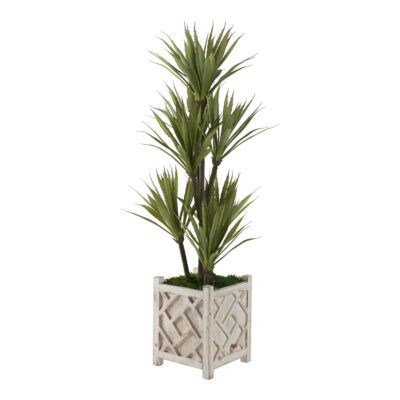Yucca Tree in Charleston Planter 4' - 321236