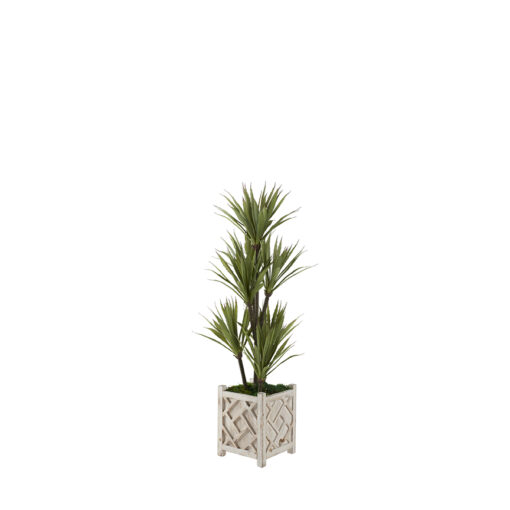 Yucca Tree in Charleston Planter 4' - 321236