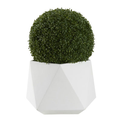 28" Boxwood Ball in Large White Jagger Planter - 321237