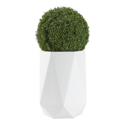 Boxwood Ball in Raye Planter - 321239