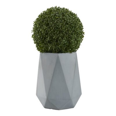 Boxwood Ball in Raye Planter - 321242