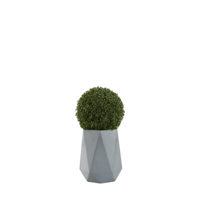 Boxwood Ball in Raye Planter - 321242
