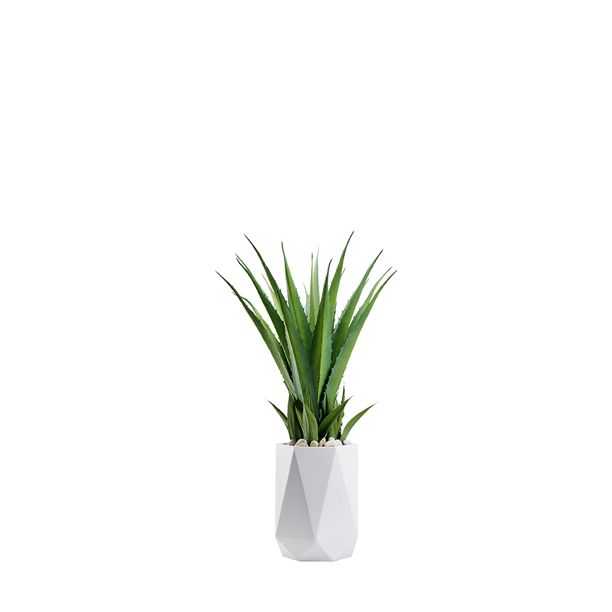 Faux Agave Cacti in Raye Planter 3.5' - 321249