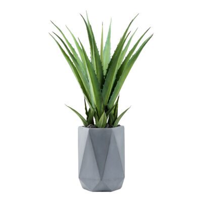 Faux Agave Cati in Raye Planter 3.5' - 321250
