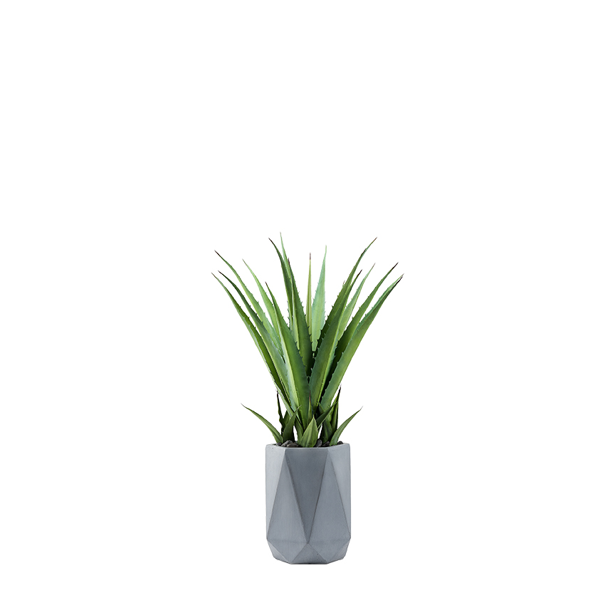 Faux Agave Cati in Raye Planter 3.5' - 321250