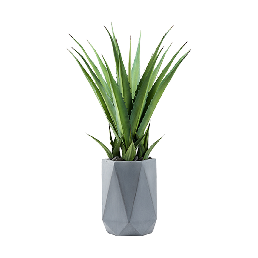 Faux Agave Cati in Raye Planter 3.5' - 321250 - Image 2
