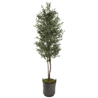 7' Olive Tree in Round Metal Planter - 321256