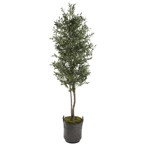 7' Olive Tree in Round Metal Planter - 321256