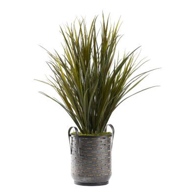 Tall Wild Grass in Waverly Planter - 321258