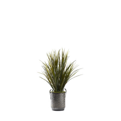 Tall Wild Grass in Waverly Planter - 321258