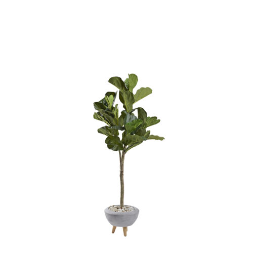 Fiddle Leaf Fig in Triad Planter 5.6'  - 321260