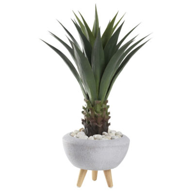 Jumbo Agave Plant in Small Triad Planter (with legs) - 321261