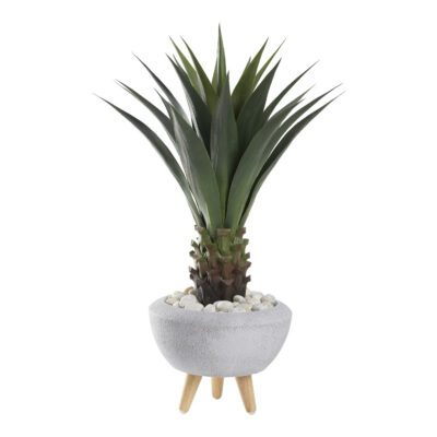 Agave Jumbo Plant in Triad Planter (with legs) - 321261