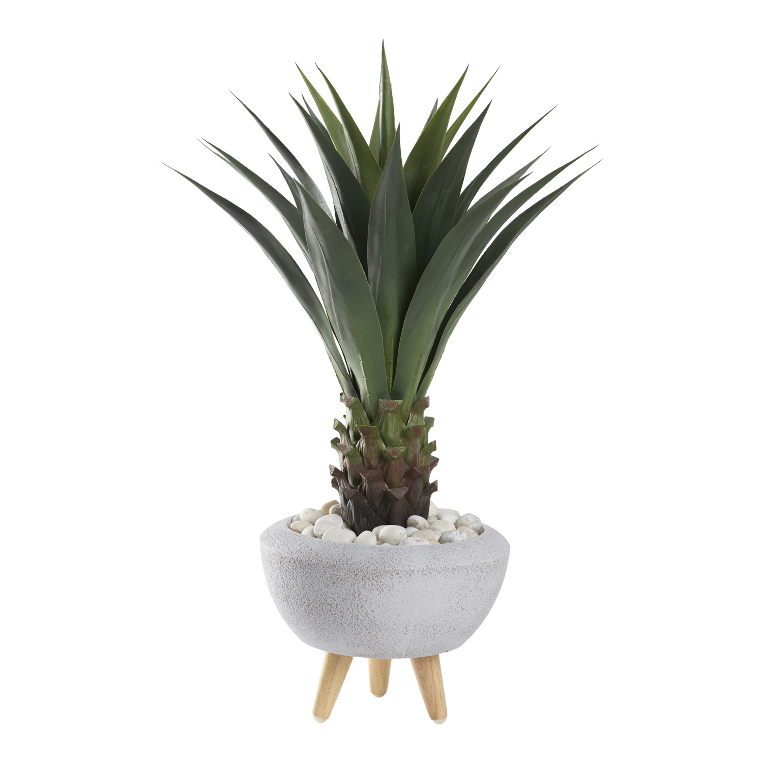 Agave Jumbo Plant in Triad Planter (with legs) - 321261