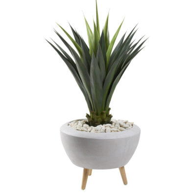 52" Jumbo Agave in Large Triad Planter - 321262