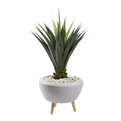 Agave Jumbo in Triad Planter - 321262