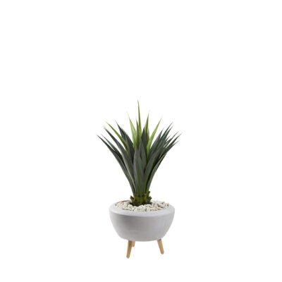 Agave Jumbo in Triad Planter - 321262