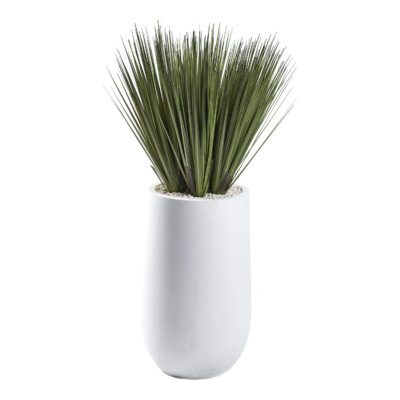 Tall Grass in Quinn Planter 3.6' - 321264