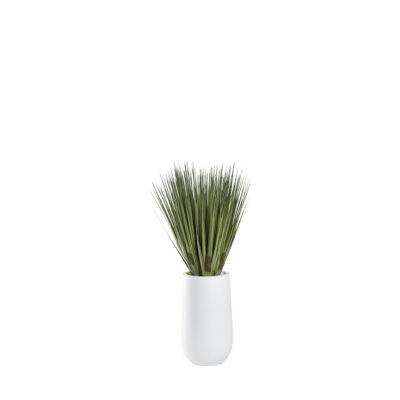 Tall Grass in Quinn Planter - 321265