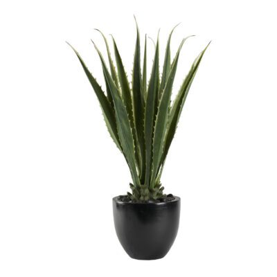 Agave in Taylor Planter - 321267
