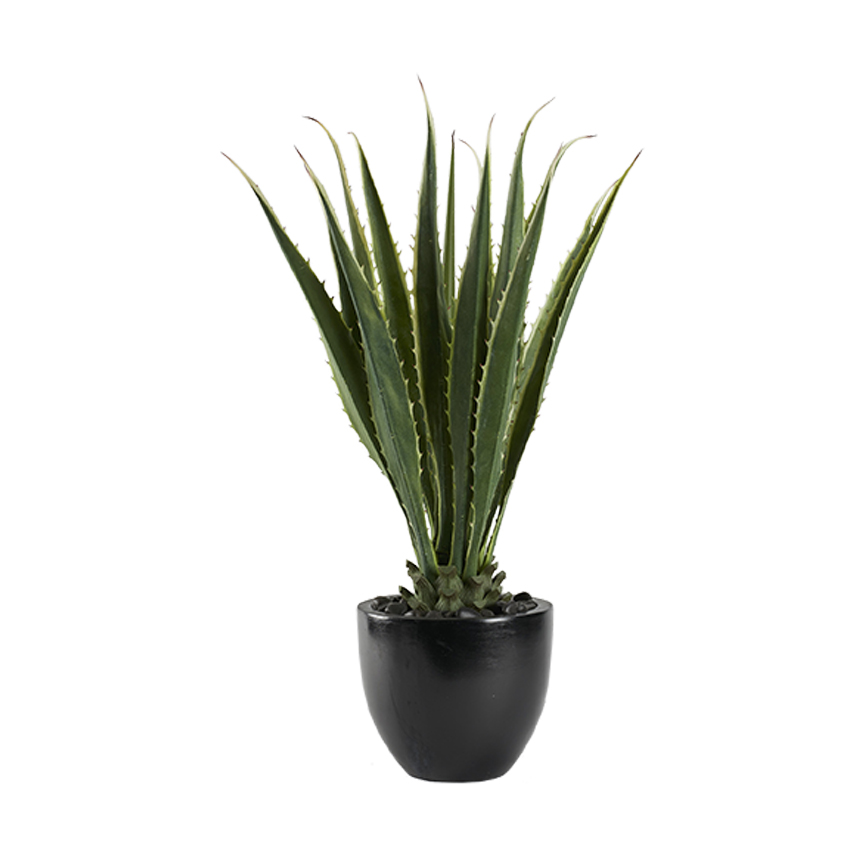 Agave in Taylor Planter - 321267 - Image 2
