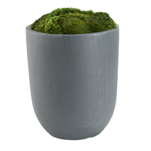 Preserved Mood Moss in Small Campbell Planter - 321271